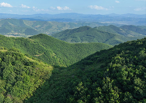 View of Social Responsibility