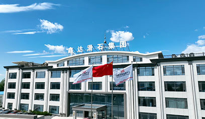 Xinda group - customer visit data in 2024